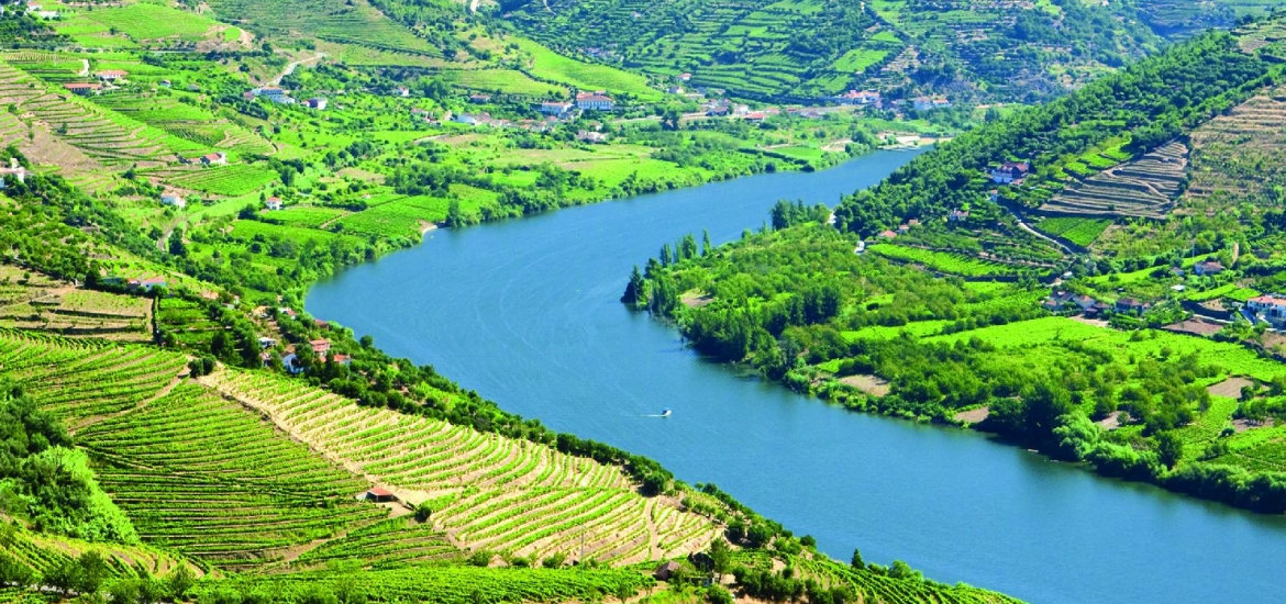 CRUCEROS DUERO CRUCEIROS DOURO DOURO RIVER CRUISES CRUCEROS POR EL DUERO CRUCEROS PORTUGAL CRUCEROS FLUVIALES OTOÑO CRUCEROS FLUVIALES VERANO
